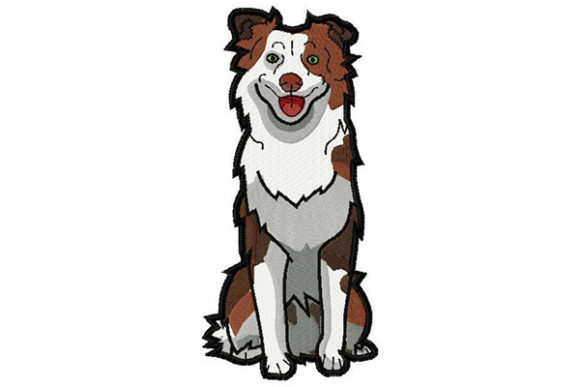 Charming Good Boy Australian Shepherd Sitting
